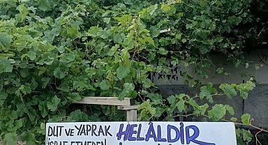 Eski belediye başkanından örnek davranış
