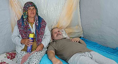 Felçli eşinin rahat etmesi için başında sinek nöbeti tutuyor