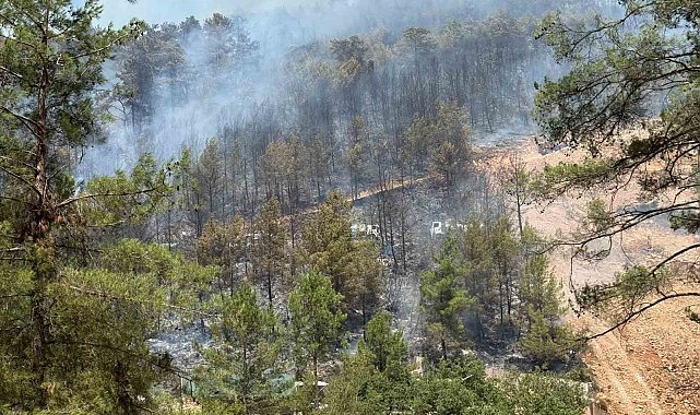Fethiye'de orman yangınını söndürme çalışmaları sürüyor