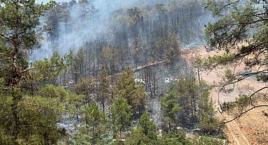 Fethiye'de orman yangınını söndürme çalışmaları sürüyor