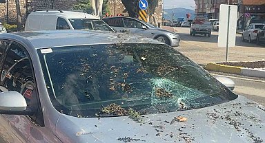 Fırtınada kökünden sökülen ağaç otomobilin üzerine devrildi