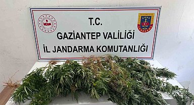 Gaziantep jandarmadan uyuşturucu operasyonu