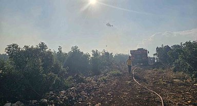 Gaziantep'te çıkan orman yangını havadan ve karadan müdahaleyle söndürüldü