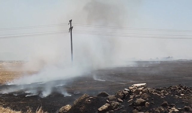 Gaziantep'teki anız yangınıyla ilgili 3 kişi gözaltına alındı