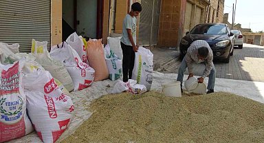 Gercüş'te bereketli hasat: Çiftçinin yüzü güldü