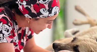 Gözüne bağ çubuğu saplanan köpek yeniden hayata tutundu