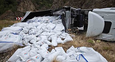 Gümüşhane'de balık yemi yüklü tır devrildi: Sürücü yaralandı