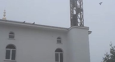 Güvercin yuvası minare yıkımını erteledi