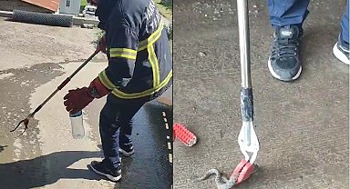 Hakkari'de aracın motor bölmesine giren yılan çıkarıldı