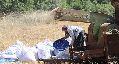 Hataylı çiftçilerin kavurucu sıcakta tozlu mesaisi sürüyor