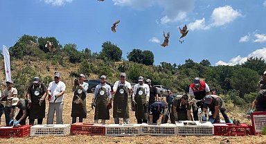 Havran'da keklikler doğal yaşam alanlarına bırakıldı