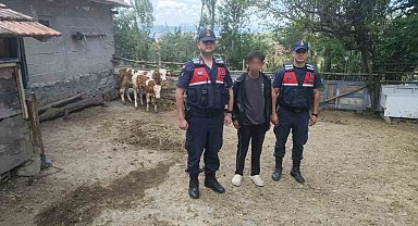 Hayvanlarını kaybeden çiftçinin yardımına Jandarma ekipleri koştu