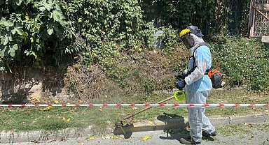 İBB'nin sorumluluğundaki yollarda otlar metrelerce uzadı, temizliği Beykoz Belediyesi yaptı