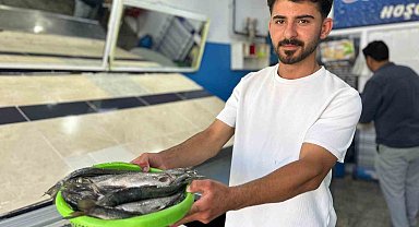 İnci kefali tezgâhlardaki yerini aldı