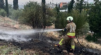 İskenderun'da otluk alan yangını