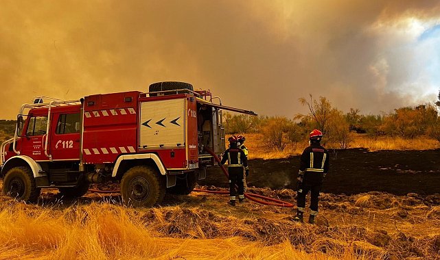 İspanya'daki orman yangınlarında 25 bin hektarlık alan kül oldu