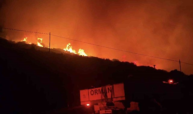 İzmir'de makilik alandaki yangın kontrol altında