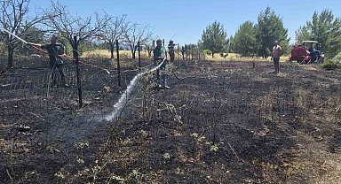 İzmir'deki orman yangınlarında iki gözaltı