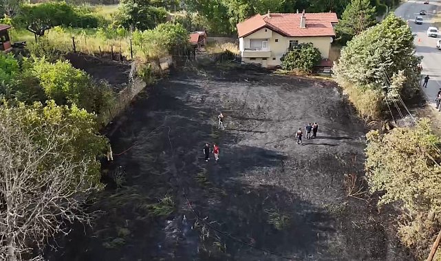 Jandarma, alevlerin arasındaki kaplumbağa ve yavrularını kurtardı