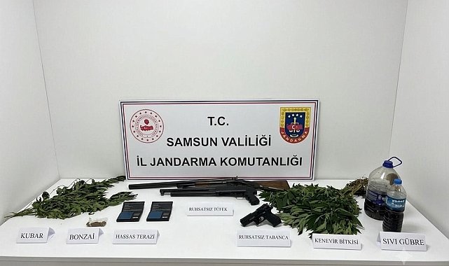 Jandarma uyuşturucu, silah ve kenevir ele geçirildi