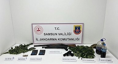 Jandarma uyuşturucu, silah ve kenevir ele geçirildi