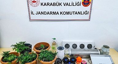 Karabük'te uyuşturucu operasyonu: Skunk serası ortaya çıkarıldı