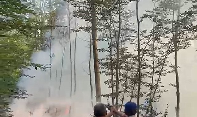 Karacabey'de orman yangını