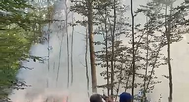 Karacabey'de orman yangını