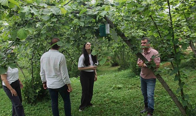 Karadeniz Havzası'nda 3 ülkeden tarımsal iş birliği