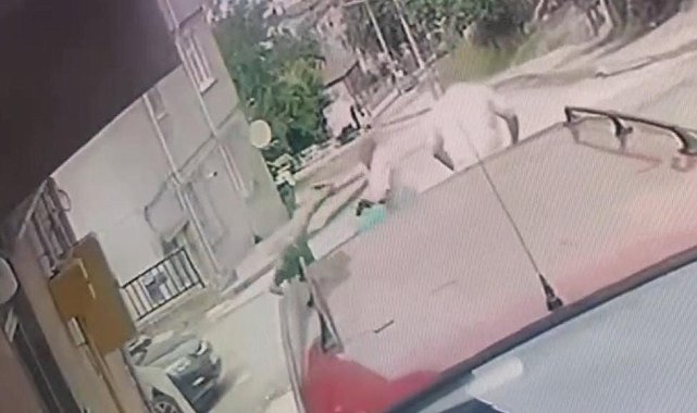 Kardeş katliamının zanlısı teslim oldu
