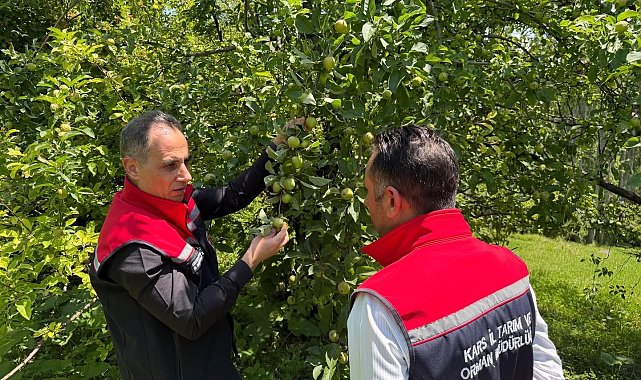 Kars'ta meyveciliğe güç katacak ziyaret: Enver Aydın'dan Sarıkamış'ta verimli üretim için 5 altın tavsiye