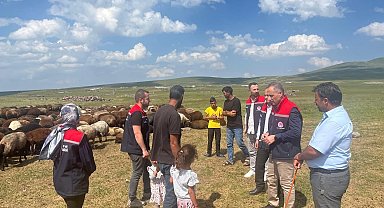 Kars'ta yaylalarda hayvancılığa yakın takip