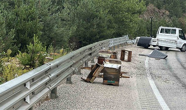 Kastamonu'da kamyonet bariyerlere çarptı: Etrafa saçılan kovandaki arılar telef oldu