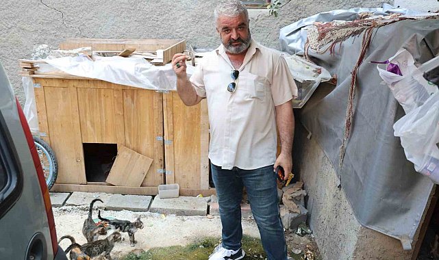 Kedi maması çalan hırsız vatandaşı canından bezdirdi