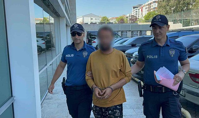 Kediye tekme atarken kameraya yansıyan şahıs yakalandı