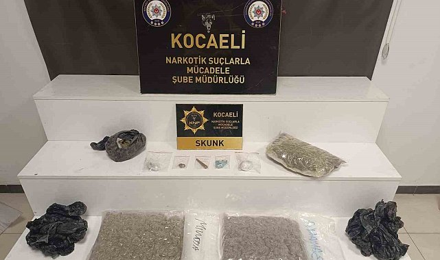 Kocaeli'de kilolarca skunk ele geçirildi