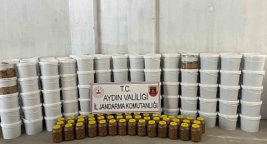 Köşk'te 3 milyon liralık sahte gıda operasyonu: "4 ton salça ve 300 kilo zeytin ele geçirildi"