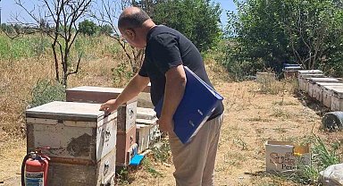 Köşk'te arılı kovan tespit çalışmaları sürüyor
