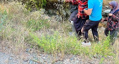 Kozan'da kayalıklardan düşen şahsı orman ekipleri kurtardı