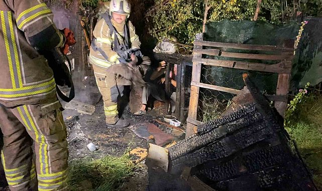 Kümeste çıkan yangında 40 kanatlı telef oldu