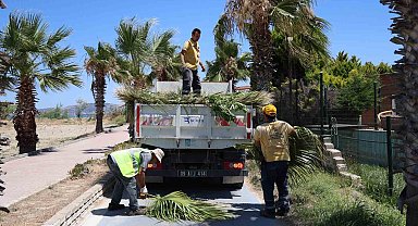 Kuşadası'nda yeşil alanlarda kapsamlı bakım ve düzenleme çalışması