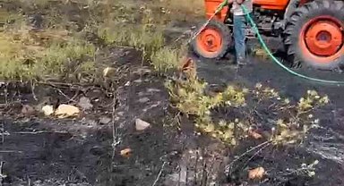 Kütahya'da orman yangını paniğe sebep oldu