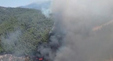 Kuyucak'ta orman yangını