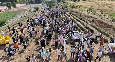 Lavanta kokuları eşliğinde hasat yaptılar