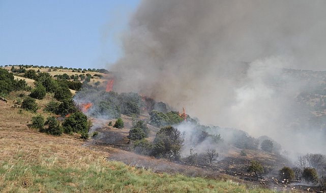 Mahalle ekipleri 28 yangını büyümeden durdurdu