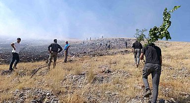 Malatya'da anız yangını