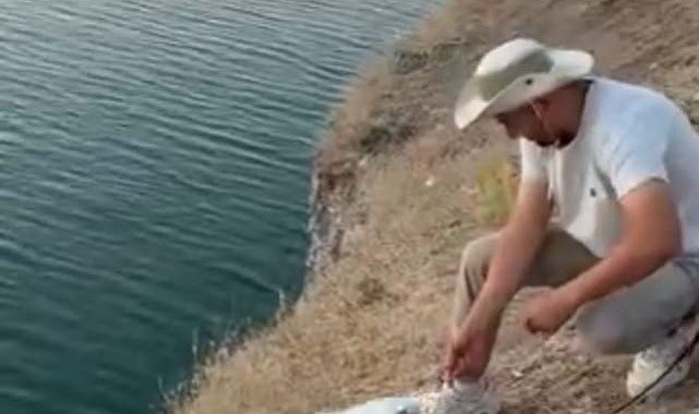 Malatya'da oltaya balık yerine martı takıldı