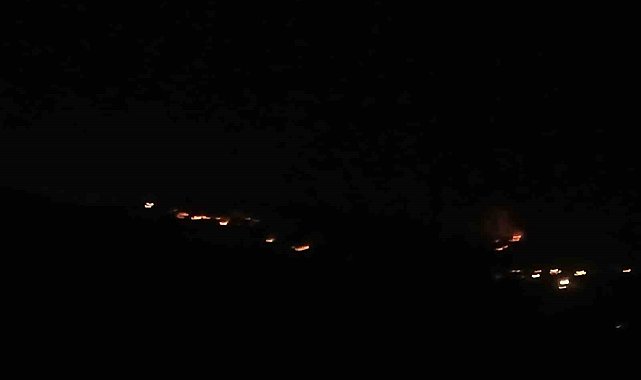 Malatya'daki orman yangınını söndürme çalışmaları sürüyor