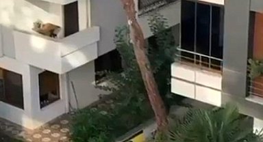 Maltepe'de vatandaşlar kadına şiddete kayıtsız kalmadı: Balkondaki adama taş yağdırdı