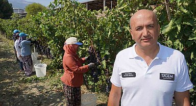 Manisa'dan dünyaya üzüm ihracatı başladı